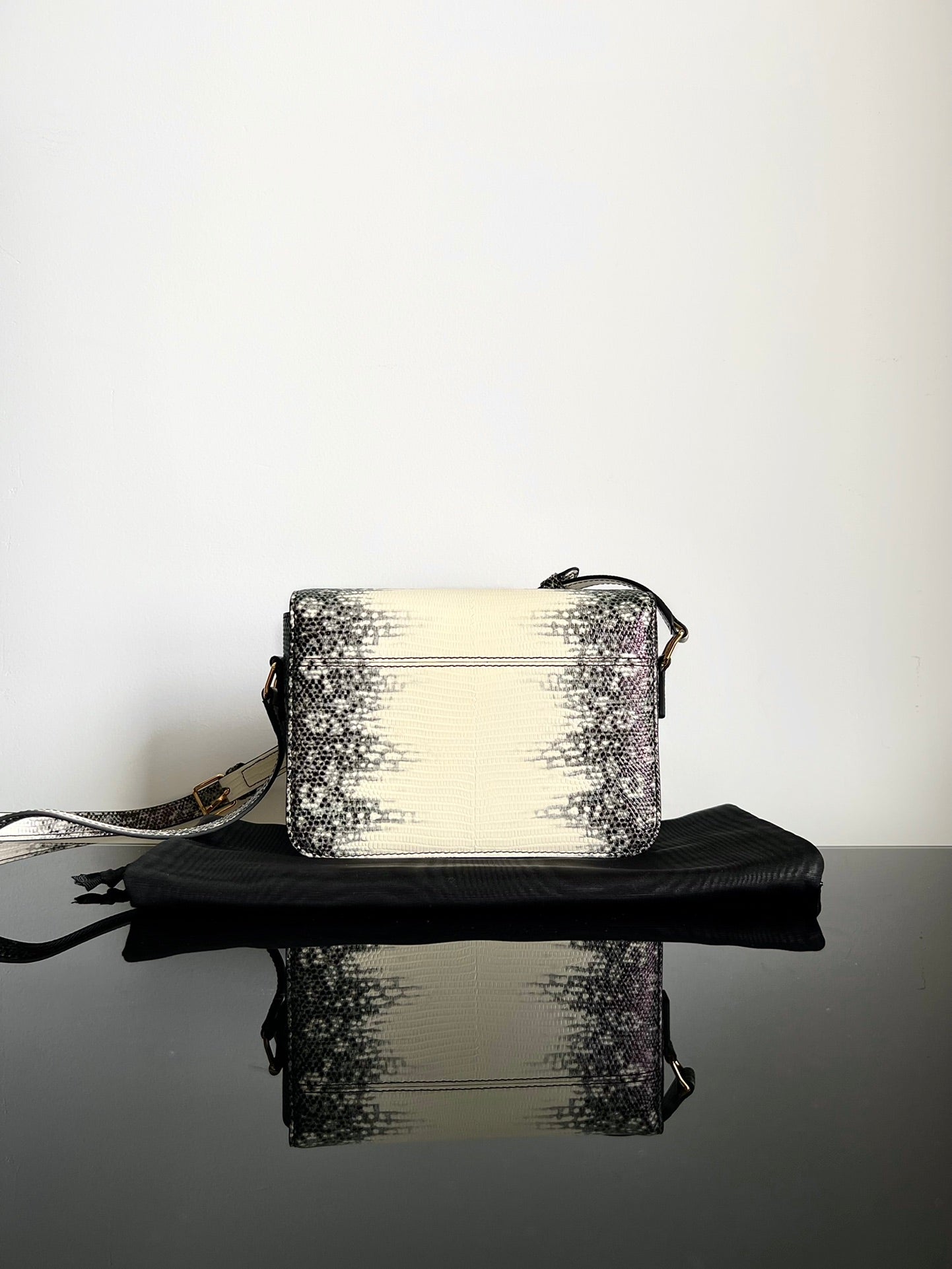 Celine Triomphe bag – front view