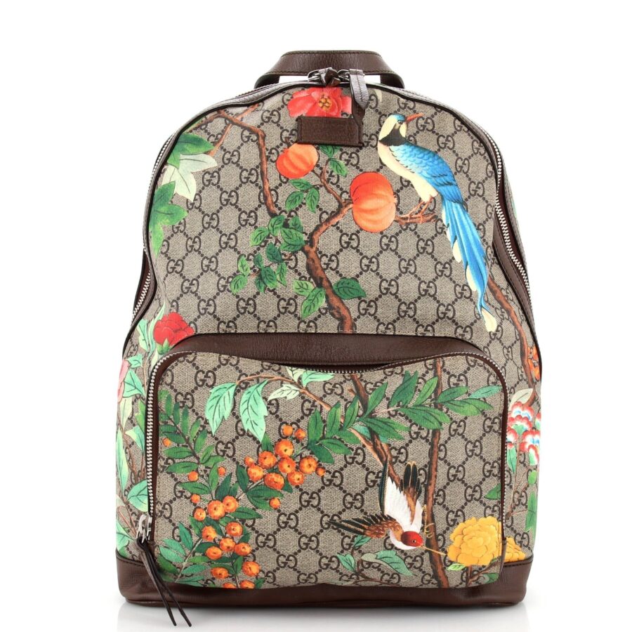 Designer Backpack bag – front view