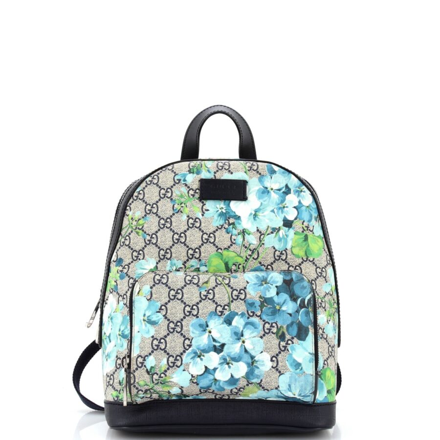 Designer Backpack bag – front view