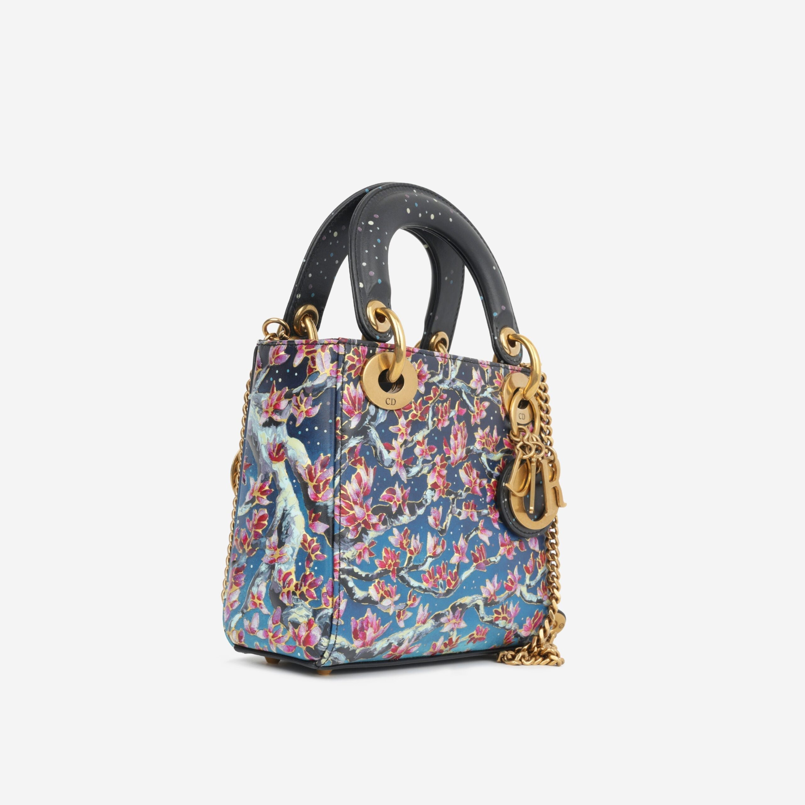 ميني Lady Dior Art