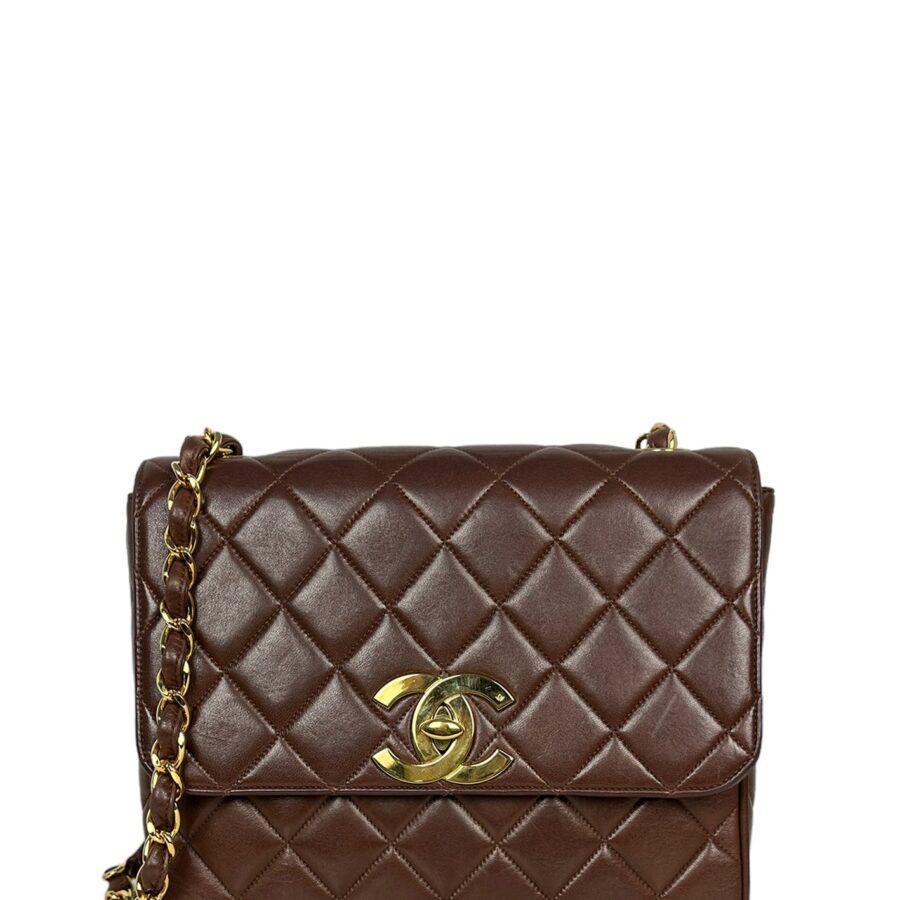 Chanel Chanel 19 brown bag – front view