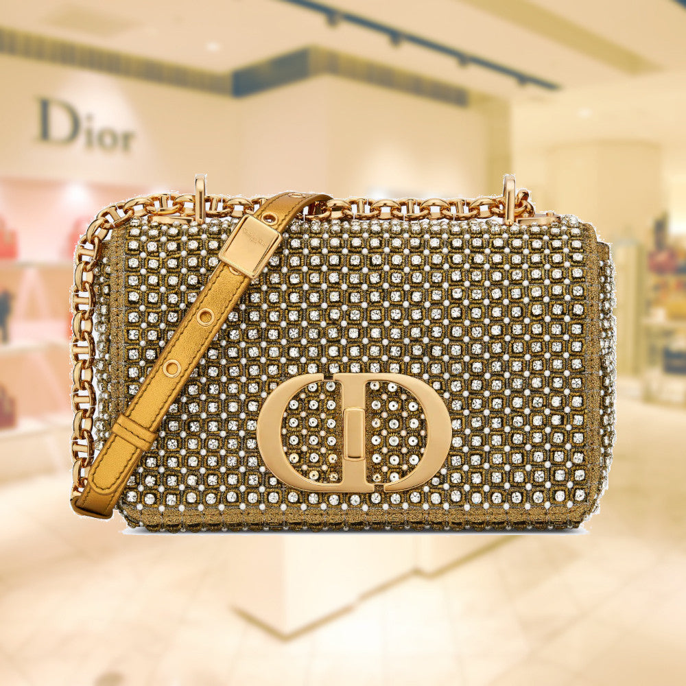 صغير DIOR CARO BAG